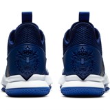 Nike LEBRON WITNESS IV TEAM Кроссовки баскетбольные Синий - фото 264159