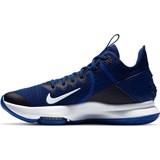 Nike LEBRON WITNESS IV TEAM Кроссовки баскетбольные Синий - фото 264160