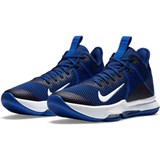 Nike LEBRON WITNESS IV TEAM Кроссовки баскетбольные Синий - фото 264161