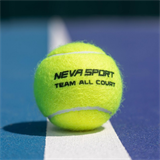 Neva Sport TEAM ALL COURT Мячи для большого тенниса (3 шт) - фото 264163