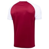 Jögel CAMP REGLAN JFT-1021 Футболка Гранатовый/Белый - фото 265025