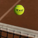 Wish CHAMPION SPEED 610 Мячи для большого тенниса (3 шт) - фото 266008