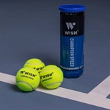 Wish CHAMPION SPEED 610 Мячи для большого тенниса (3 шт) - фото 266010
