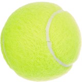 Dunlop FORT ALL COURT 4B Мячи для большого тенниса (4 шт) - фото 266775