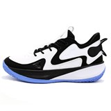 Peak OUTFIELD STREETBALL OUTDOOR Кроссовки баскетбольные Белый/Черный/Синий - фото 267170