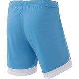 Jögel DIVISION PERFORMDRY UNION SHORTS 22 Шорты Голубой/Белый - фото 268051