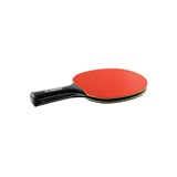 Donic CARBOTEC 3000 CARBON Ракетка для настольного тенниса - фото 269689