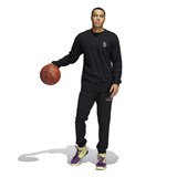 Adidas DAME 8 INNOVATION Брюки баскетбольные Черный - фото 269778