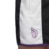Adidas DAME 8 INNOVATION Шорты баскетбольные Черный/Белый - фото 270120