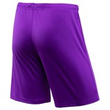 Jögel CAMP JFS-1120 Шорты футбольные Фиолетовый/Белый - фото 270517