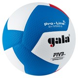Gala PRO-LINE 12 FIVB Мяч волейбольный - фото 270698