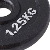 Starfit BB-204 1,25 кг Диск чугунный Черный - фото 271139