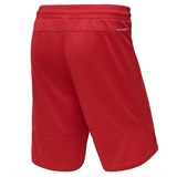 Jögel PERFORMDRY DIVISION STAR Шорты баскетбольные Красный/Белый - фото 271809