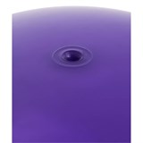 Starfit GB-411 55СМ, 650Г Мяч-попрыгун с ручкой антивзрыв Фиолетовый - фото 271894
