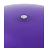 Starfit GB-411 55СМ, 650Г Мяч-попрыгун с ручкой антивзрыв Фиолетовый - фото 271895