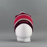 Nordski BRIGHT VIOLET Шапка Бордовый/Серый - фото 272759