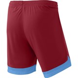 Jögel DIVISION PERFORMDRY UNION SHORTS Шорты Гранатовый/Голубой/Белый - фото 273347