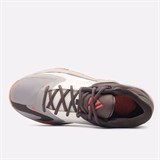 Nike ZOOM FREAK 4 EP "LETTER BROS" Кроссовки баскетбольные Серый/Коричневый - фото 275070