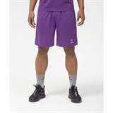 Jögel CAMP BASIC Шорты баскетбольные Фиолетовый/Белый - фото 275949