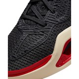 Jordan TATUM 1 "ZOO" Кроссовки баскетбольные Черный/Красный - фото 276418