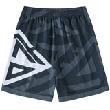 Anta STG Шорты баскетбольные Серый - фото 276809