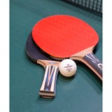 Donic TOP TEAM 700 Ракетка для настольного тенниса - фото 277240