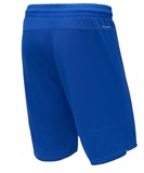 Jögel PERFORMDRY DIVISION STAR Шорты баскетбольные Синий/Белый - фото 277298