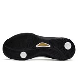 Anta SKYLINE 1 V2 "TRIUMPHANT RETURN" Кроссовки баскетбольные Белый/Черный - фото 277314