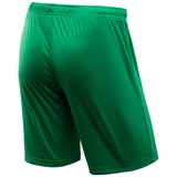 Jögel CAMP JFS-1120-K Шорты футбольные детские Зеленый/Белый - фото 277880 Jögel CAMP JFS-1120-K Шорты футбольные детские Зеленый/Белый - фото 277880