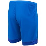 Jögel DIVISION PERFORMDRY UNION SHORTS Шорты Синий/Темно-синий/Белый - фото 278371