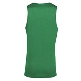 Macron PROPANE REVERSIBLE Майка баскетбольная Зеленый/Белый - фото 281402