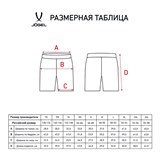 Jögel DIVISION PERFORMDRY UNION SHORTS Шорты Белый - фото 282941