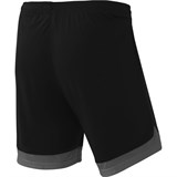 Jögel DIVISION PERFORMDRY UNION SHORTS Шорты Черный/Темно-серый/Белый - фото 283456