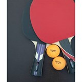 Roxel 4**** STELLAR Ракетка для настольного тенниса коническая - фото 283666