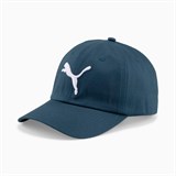 Puma ESSENTIALS CAT LOGO CAP Бейсболка Темно-синий Деним - фото 291356