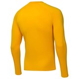 Jögel PERFORMDRY BASELAYER WARM TOP Футболка компрессионная с длинным рукавом Желтый - фото 292362