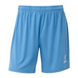 Jogel DIVISION PERFORMDRY UNION SHORTS Шорты Голубой - фото 293484