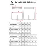 Jögel DIVISION PERFORMDRY UNION SHORTS Шорты Голубой - фото 293490