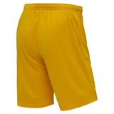 Jögel DIVISION PERFORMDRY UNION SHORTS Шорты Желтый - фото 293531