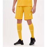 Jögel DIVISION PERFORMDRY UNION SHORTS Шорты Желтый - фото 293536