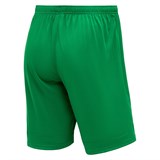 Jögel DIVISION PERFORMDRY UNION SHORTS Шорты Зеленый - фото 293584