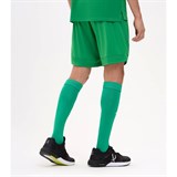 Jögel DIVISION PERFORMDRY UNION SHORTS Шорты Зеленый - фото 293589
