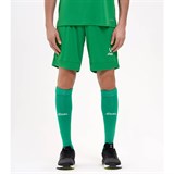 Jögel DIVISION PERFORMDRY UNION SHORTS Шорты Зеленый - фото 293590