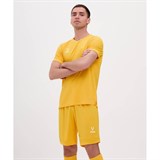 Jögel DIVISION PERFORMDRY UNION JERSEY Футболка Желтый - фото 293606