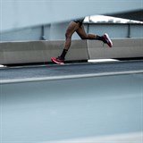 Mizuno WAVE RIDER 28 "AMSTERDAM 2024" Кроссовки беговые Оранжевый/Черный - фото 295854