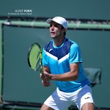 Joma COURT Футболка теннисная Голубой/Темно-синий//Белый - фото 296137