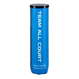 Neva Sport TEAM ALL COURT Мячи для большого тенниса (4 шт) - фото 296944
