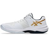 Asics SKY ELITE FF 3 Кроссовки волейбольные Белый/Черный/Золотой - фото 297431