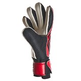 Torres JUNIOR SUPER (MAX) (FG0523707) Перчатки вратарские Черный/Красный - фото 297613