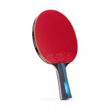 Torres CLUB 4* (TT23008) Ракетка для настольного тенниса - фото 297793
